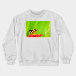 oli pollinators Crewneck Sweatshirt